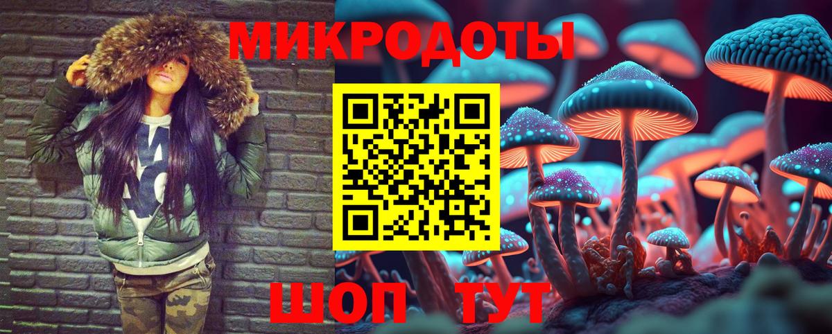 Энгельс  наркота  Вход с VPN  Псилоцибиновые грибы Psilocybe 