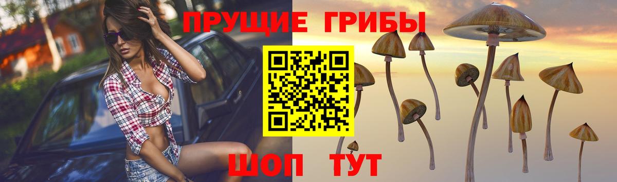 Галлюциногенные грибы MAGIC MUSHROOMS Энгельс